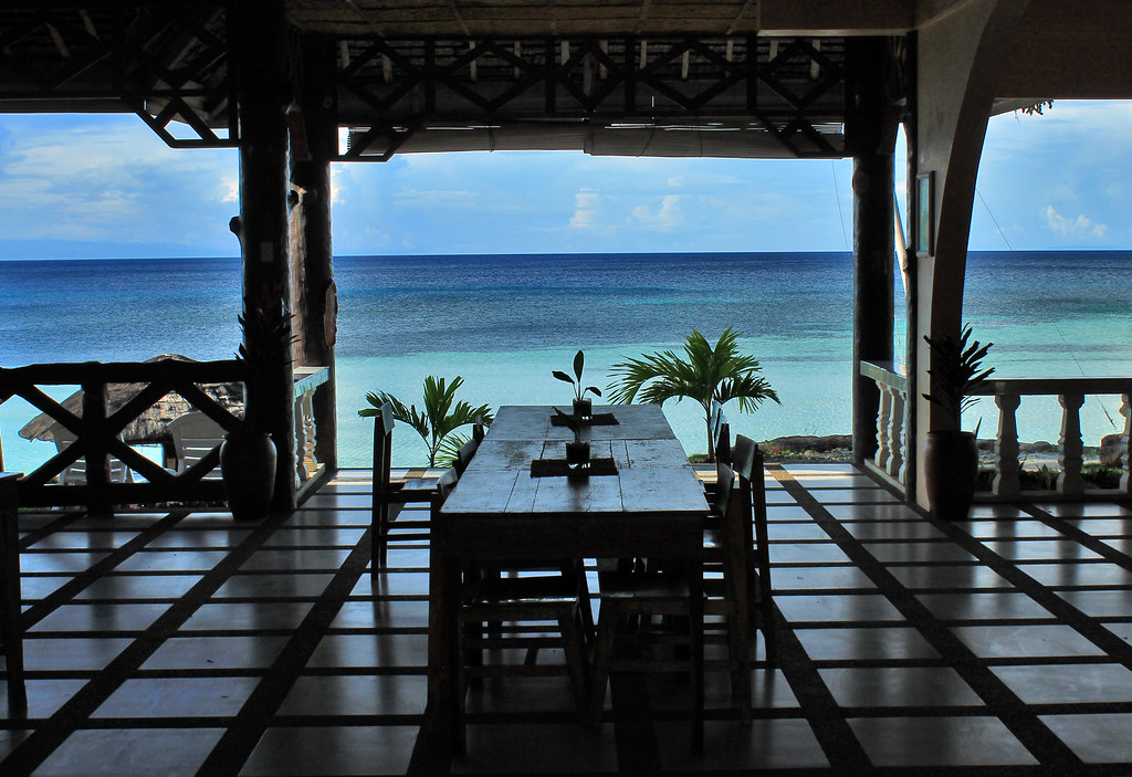 Century-Old Balete Tree